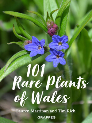 cover image of 101 Rare Plants of Wales